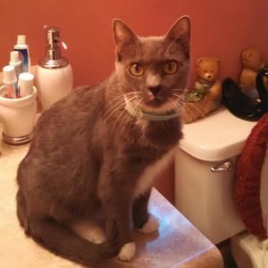 Meet your Posher, Denise